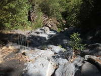 rrente Quarantore-20110911 050